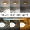 KCC-G08CML シーリングファンウィング8畳モデル CIRCULIGHT 79880039
