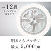 KCC-SW12EA シーリングファンイージーモデルAlexa対応 CIRCULIGHT 79880170