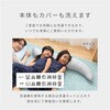 YA-DMLL(WH) ڐG⊴Q-MAX0.5 N[ YAMAZEN(RP) 79880248