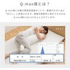 YA-DMLL(WH) ڐG⊴Q-MAX0.5 N[ YAMAZEN(RP) 79880248