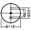 79881605