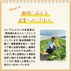 - 蒟蒻畑 北海道らいでんメロン味 マンナンライフ 79893321