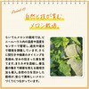 - 蒟蒻畑 北海道らいでんメロン味 マンナンライフ 79893321