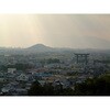- 手延三輪素麺 むぎくら(巽製粉) 79893960