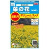 - 景観用大袋 菜の花(ハナナ) 寒咲系混合 サカタのタネ 80020799