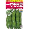 - 一寸そら豆【徳用】 サカタのタネ 80020860