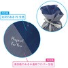 - フロストリボン付きギフトバッグ メッセージ入 エスパック 80100110