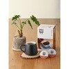 SC1970 KEURIG 専用カプセル カップス 80102201