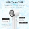 LN-FANH05GR 冷却プレートつきハンディファン カラビナ内蔵 スタンド機能 風量調整5段階 LEPLUS NEXT 80102395