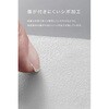 CIO-MB35W2C1A-SSA10K-S-EE-WH SP SMARTCOBY Pro SLIM SS ホワイト CIO 80105798