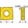 80135897,80135906