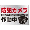 イラストステッカー標識 防犯カメラ作動中 日本緑十字社