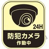 069501 イラストステッカー標識 蓄光タイプ 防犯カメラ作動中 日本緑十字社 80153958