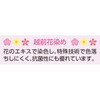 820688-12 820688 越前花染め抗菌ビックTシャツ ケアファッション 80156417