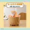 KH-G91-KKW ルームライト加湿器 CCP 80160468