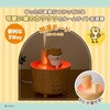 KH-G91-KKW ルームライト加湿器 CCP 80160468