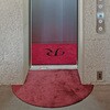 大 ブライトマットⅡ 60x90cm 大一産業 80222077