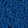 大 ブライトマットⅡ 60x90cm 大一産業 80222960