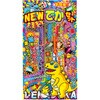 22555 玩具花火 NEWでかセット 若松屋 80224929