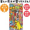 22554 玩具花火 NEWでかセット 若松屋 80225175