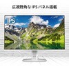 PRO-MP243W-E14 ビジネスモニター PRO-MP243W-E14 MSI(エムエスアイ) 80230775