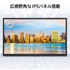PRO-MP165-E6 モバイルモニター PRO-MP165-E6 MSI(エムエスアイ) 80230791