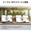 PRO-MP165-E6 モバイルモニター PRO-MP165-E6 MSI(エムエスアイ) 80230791