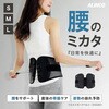EXG301S 男女兼用 腰サポーター 腰痛ベルト 姿勢サポート アルインコ 80311308