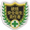 刺繍ワッペン 日本緑十字社