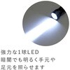 SK-1541 1LED�}�C�N�����C�g�E�P�l1�{�p GLOBAL&LOCAL 80328126