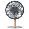 ミニリビングファンLEDライト付 ライフオンプロダクツ