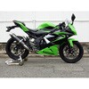 S/O ラウンド・カーボンサイレンサー 15- Ninja250SL/ABS WR’S(ダブルアールズ)