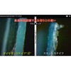 STJ-0199-F-K -Katana- _ChiCt STJ-0199V[Y GXeBWp 80630569