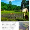 80779310
