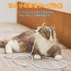 PETWACMT20WH USB-A to USB Type-C ケーブル ペット噛みつき対策 感電防止 断線しにくい ステンレス製 mofult エレコム 80782987
