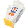 AG135 特紡日本一軍手 2本編 ACE GLOVE(エースグローブ) 80797511