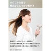 TEC-A026D-C ドライヤー 軽量 速乾 コンパクト I字型 ブラシレスDC マイナスイオン ポーチ付き テスコム 80799760