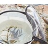 208-丸Ⅱ 竿立付活アジブクバケツⅡ 35cm タカ産業 80800076