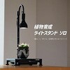 LPA-P250-BK 植物育成卓上ライトスタンド・ソロ 植物用LEDライト BIBILAB 80801711