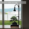 LPA-P250-BK 植物育成卓上ライトスタンド・ソロ 植物用LEDライト BIBILAB 80801711