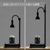 LPA-P250-BK 植物育成卓上ライトスタンド・ソロ 植物用LEDライト BIBILAB 80801711