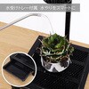LPA-P250-BK 植物育成卓上ライトスタンド・ソロ 植物用LEDライト BIBILAB 80801711