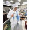 CV2026-K1 クールベスト 冷却ベスト 保冷剤別売り 結露対策用ポーチ付き 暑さ対策 ひんやり サーヴォ(旧:サンペックスイスト) 80833685