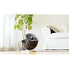 PIVOT6-JP ボルネード PIVOT6-JP サーキュレーター モダンモデル Vornado 80836519