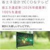 OL24SE100 ORION 24型液晶テレビ オリオン(ORION) 80839240