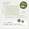 160901600 い草風畳クッション 楽座 萩原 80884995