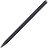 TPEN-004BK iPad専用充電式タッチペン_軽量タイプ ナカバヤシ 80908908