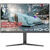 JN-IPS315G200Q-HSP 31.5型/2560×1440/HDMI×2、DP×2/ブラック/スピーカー有/2年保証 JAPANNEXT 80912049