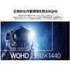JN-IPS315G200Q-HSP 31.5型/2560×1440/HDMI×2、DP×2/ブラック/スピーカー有/2年保証 JAPANNEXT 80912049
