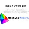 JN-IPS315G200Q-HSP 31.5型/2560×1440/HDMI×2、DP×2/ブラック/スピーカー有/2年保証 JAPANNEXT 80912049